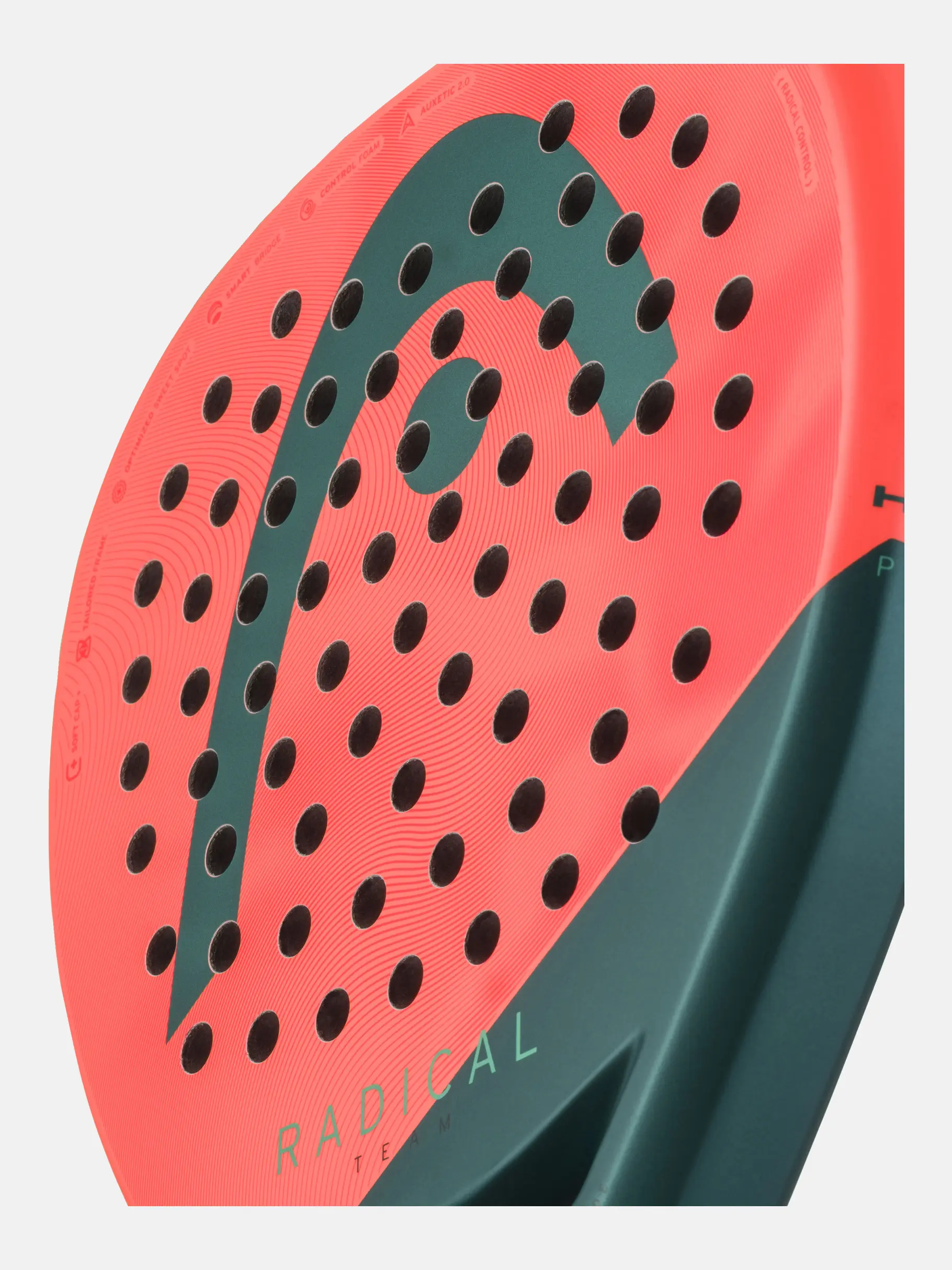 Head Radical Team 2026